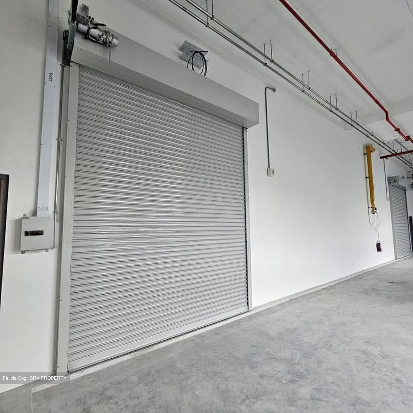 Ct Foodnex (D25), Factory #541640721